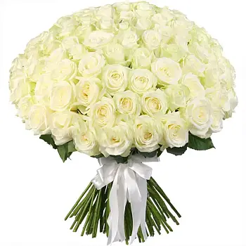 Букет из 101 белой розы