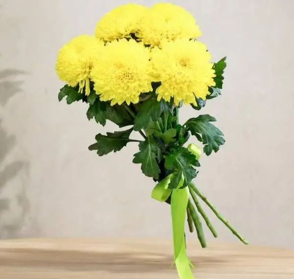 Взрыв позитива